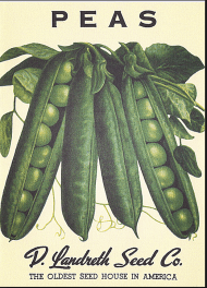 Screen Shot 2016-03-17 at 12.42.59 PM